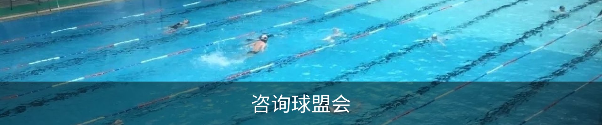 咨询球盟会